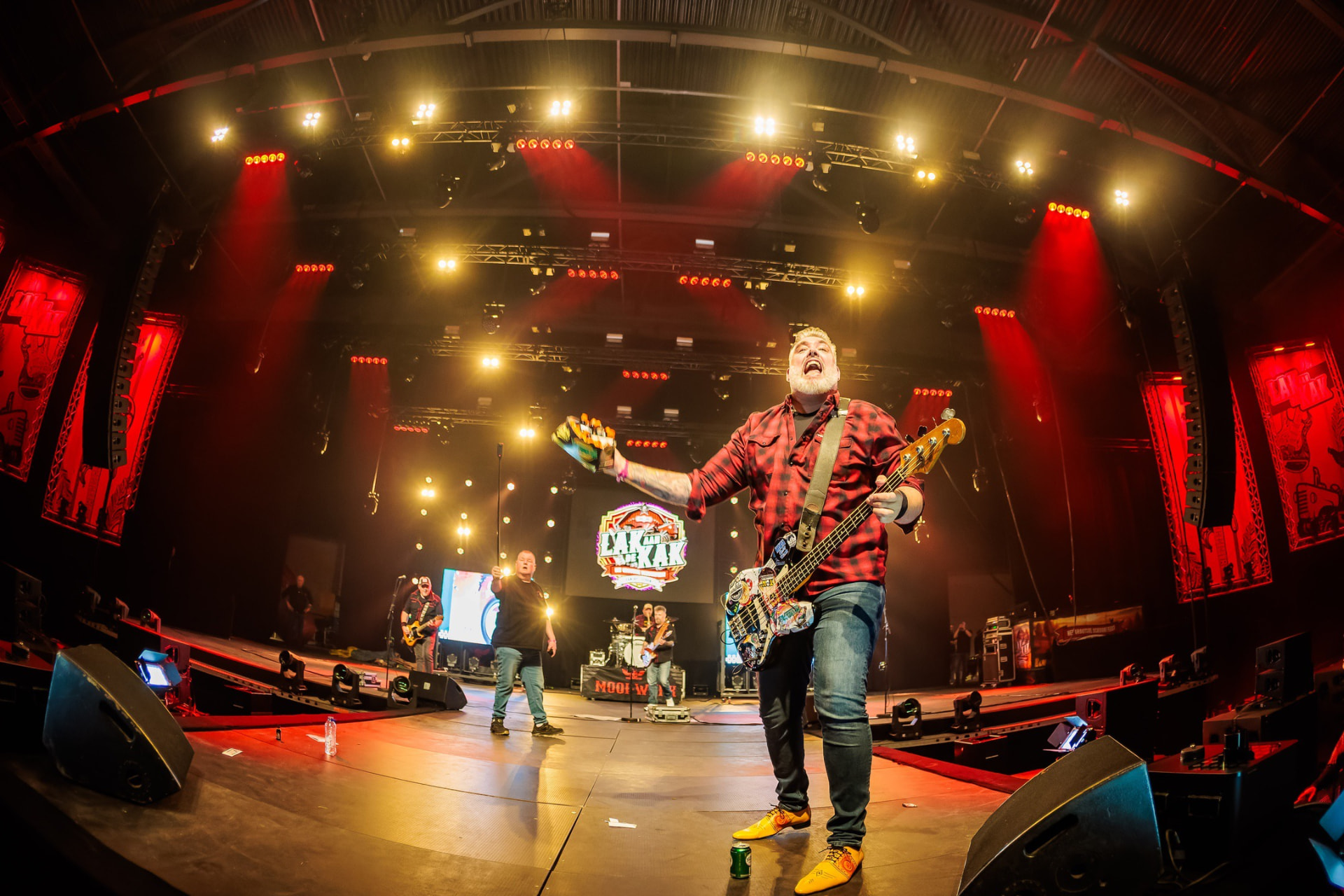 Bassist viert op het podium